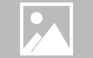 兰考新区景区网站建设（in art criticism,you must assume）
